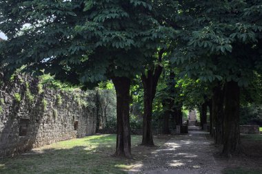 Güneşli bir günde şatonun bahçesindeki ağaçların oluşturduğu gölgede yol