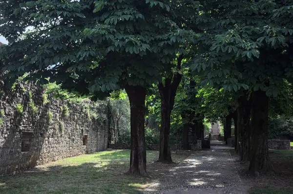 Güneşli bir günde şatonun bahçesindeki ağaçların oluşturduğu gölgede yol