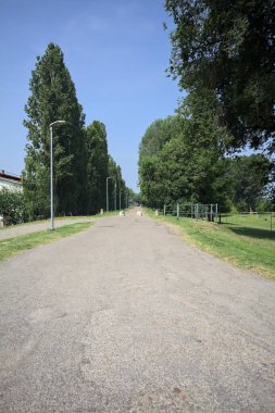 Güneşli bir günde, parkın kenarında kavak ağaçlarıyla çevrili bir toprak setin üzerinde, başlangıcının yanında bir ev olan bir patika.
