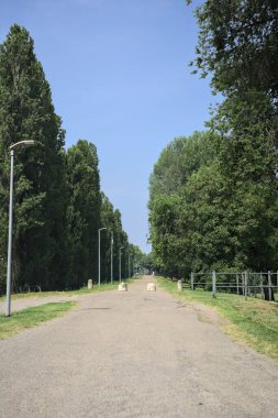Güneşli bir günde, parkın kenarında kavak ağaçlarıyla çevrili bir toprak setin üzerinde, başlangıcının yanında bir ev olan bir patika.