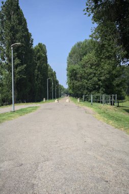 Güneşli bir günde, parkın kenarında kavak ağaçlarıyla çevrili bir toprak setin üzerinde, başlangıcının yanında bir ev olan bir patika.