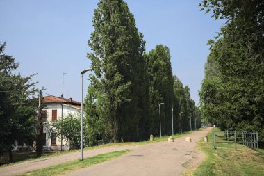 Güneşli bir günde, parkın kenarında kavak ağaçlarıyla çevrili bir toprak setin üzerinde, başlangıcının yanında bir ev olan bir patika.