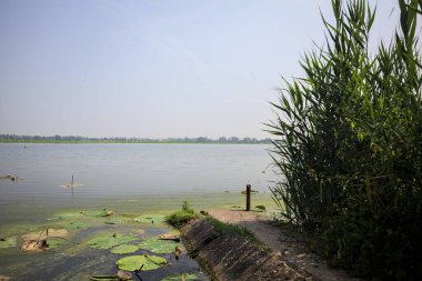 İtalya kırsalında güneşli bir günde yanında sazlıklar büyüyen bir nehir kıyısından uzanan beton platform.