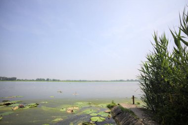 İtalya kırsalında güneşli bir günde yanında sazlıklar büyüyen bir nehir kıyısından uzanan beton platform.