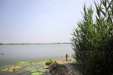 İtalya kırsalında güneşli bir günde yanında sazlıklar büyüyen bir nehir kıyısından uzanan beton platform.