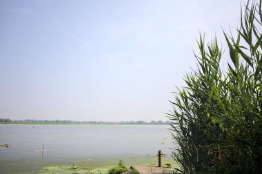 İtalya kırsalında güneşli bir günde yanında sazlıklar büyüyen bir nehir kıyısından uzanan beton platform.