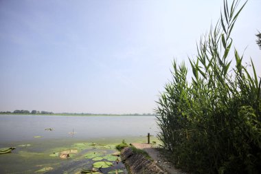 İtalya kırsalında güneşli bir günde yanında sazlıklar büyüyen bir nehir kıyısından uzanan beton platform.