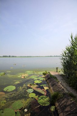 İtalya kırsalında güneşli bir günde yanında sazlıklar büyüyen bir nehir kıyısından uzanan beton platform.