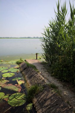 İtalya kırsalında güneşli bir günde yanında sazlıklar büyüyen bir nehir kıyısından uzanan beton platform.