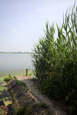 İtalya kırsalında güneşli bir günde yanında sazlıklar büyüyen bir nehir kıyısından uzanan beton platform.