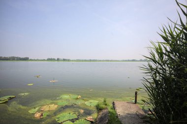 İtalya kırsalında güneşli bir günde yanında sazlıklar büyüyen bir nehir kıyısından uzanan beton platform.