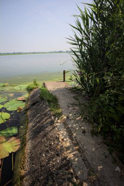 İtalya kırsalında güneşli bir günde yanında sazlıklar büyüyen bir nehir kıyısından uzanan beton platform.