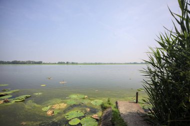 İtalya kırsalında güneşli bir günde yanında sazlıklar büyüyen bir nehir kıyısından uzanan beton platform.