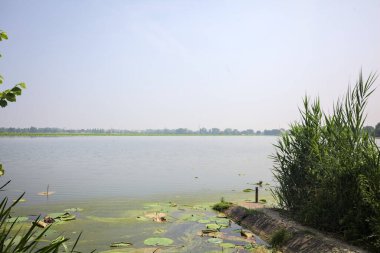 İtalya kırsalında güneşli bir günde yanında sazlıklar büyüyen bir nehir kıyısından uzanan beton platform.