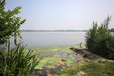İtalya kırsalında güneşli bir günde yanında sazlıklar büyüyen bir nehir kıyısından uzanan beton platform.