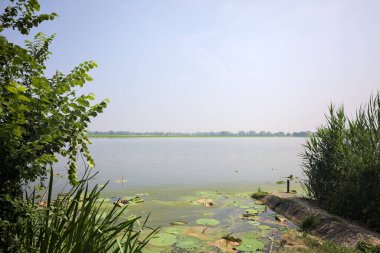 İtalya kırsalında güneşli bir günde yanında sazlıklar büyüyen bir nehir kıyısından uzanan beton platform.