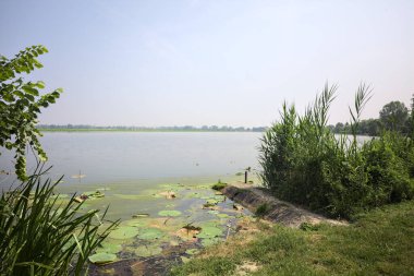 İtalya kırsalında güneşli bir günde yanında sazlıklar büyüyen bir nehir kıyısından uzanan beton platform.