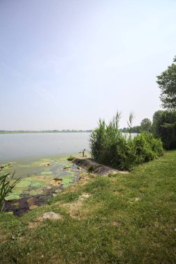 İtalya kırsalında güneşli bir günde yanında sazlıklar büyüyen bir nehir kıyısından uzanan beton platform.