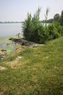 İtalya kırsalında güneşli bir günde yanında sazlıklar büyüyen bir nehir kıyısından uzanan beton platform.