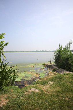 İtalya kırsalında güneşli bir günde yanında sazlıklar büyüyen bir nehir kıyısından uzanan beton platform.