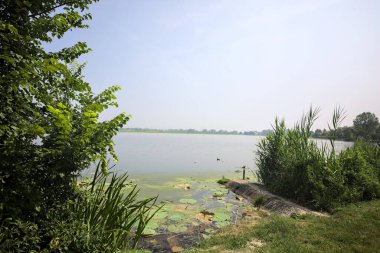 İtalya kırsalında güneşli bir günde yanında sazlıklar büyüyen bir nehir kıyısından uzanan beton platform.