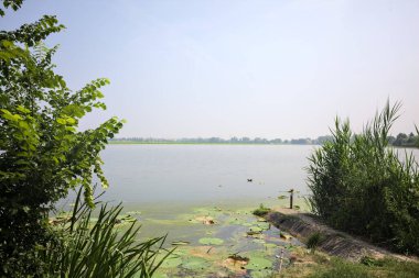 İtalya kırsalında güneşli bir günde yanında sazlıklar büyüyen bir nehir kıyısından uzanan beton platform.