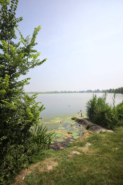 İtalya kırsalında güneşli bir günde yanında sazlıklar büyüyen bir nehir kıyısından uzanan beton platform.