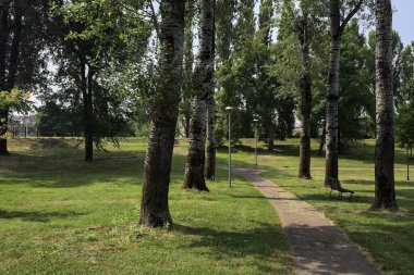 Kavak ağaçlarıyla çevrili patika, güneşli bir günde parktaki çayırların yanında gölgeler bırakıyor.