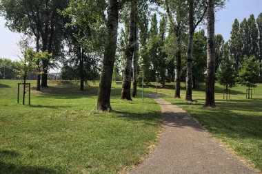 Kavak ağaçlarıyla çevrili patika, güneşli bir günde parktaki çayırların yanında gölgeler bırakıyor.