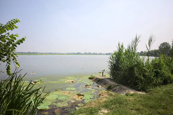 İtalya kırsalında güneşli bir günde yanında sazlıklar büyüyen bir nehir kıyısından uzanan beton platform.