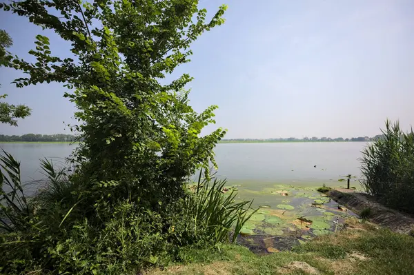 İtalya kırsalında güneşli bir günde yanında sazlıklar büyüyen bir nehir kıyısından uzanan beton platform.