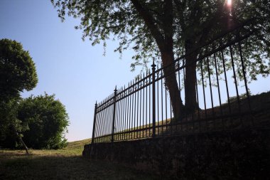 Çitin altından ve arkasından görünen bir ağacın tepesindeki siluet.