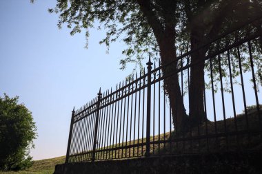 Çitin altından ve arkasından görünen bir ağacın tepesindeki siluet.