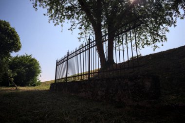 Çitin altından ve arkasından görünen bir ağacın tepesindeki siluet.