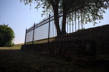 Çitin altından ve arkasından görünen bir ağacın tepesindeki siluet.