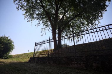 Çitin altından ve arkasından görünen bir ağacın tepesindeki siluet.