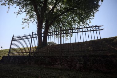 Çitin altından ve arkasından görünen bir ağacın tepesindeki siluet.