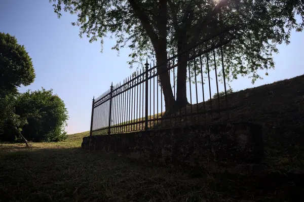 Çitin altından ve arkasından görünen bir ağacın tepesindeki siluet.