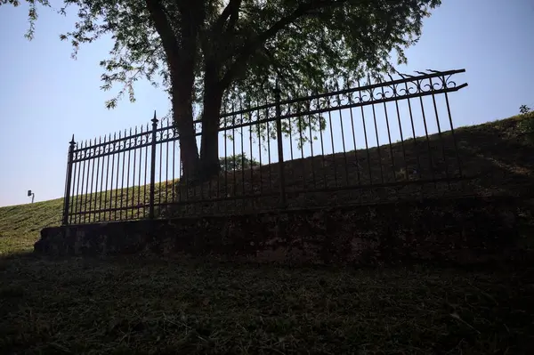 Çitin altından ve arkasından görünen bir ağacın tepesindeki siluet.