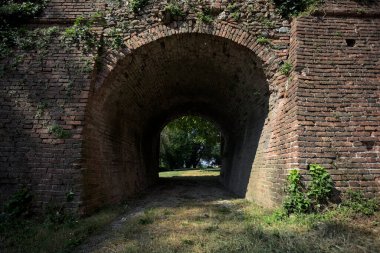 Ağaçlı bir çimenliğe uzanan köprünün kirişinin altındaki gölgedeki geçit.