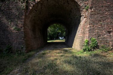 Ağaçlı bir çimenliğe uzanan köprünün kirişinin altındaki gölgedeki geçit.