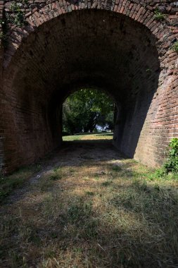 Ağaçlı bir çimenliğe uzanan köprünün kirişinin altındaki gölgedeki geçit.