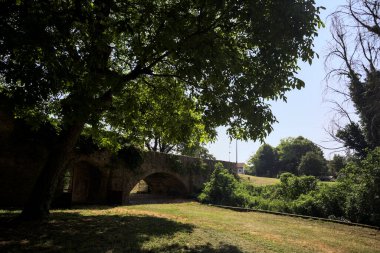 Üzerinde bitkiler büyüyen ve güneşli bir günde İtalyan kırsalında ağaçlarla çevrili tuğla köprü.