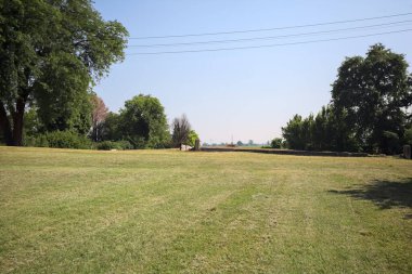 İtalya 'nın kırsal kesimlerinde güneşli bir günde bitkilerden yapılmış bir çitin arkasında ufka kadar uzanan bir mısır tarlası olan ağaçlarla çevrili beton kare.