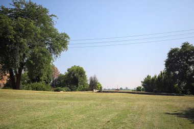 İtalya 'nın kırsal kesimlerinde güneşli bir günde bitkilerden yapılmış bir çitin arkasında ufka kadar uzanan bir mısır tarlası olan ağaçlarla çevrili beton kare.