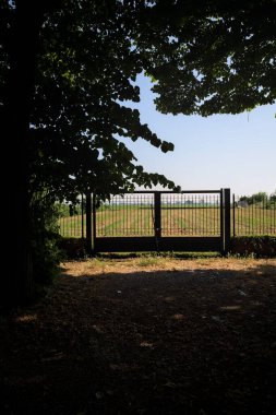 Güneşli bir günde, bir çitin kenarındaki İtalyan kırsalında, gölgede ağaçlarla çevrili bir çitin içinde.