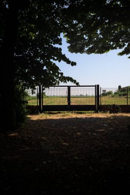 Güneşli bir günde, bir çitin kenarındaki İtalyan kırsalında, gölgede ağaçlarla çevrili bir çitin içinde.