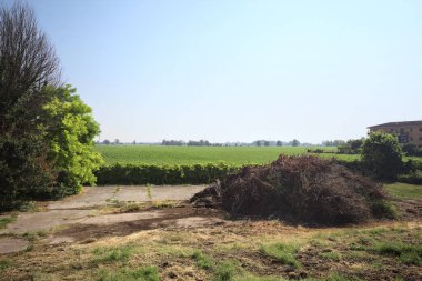 İtalya 'nın kırsal kesimlerinde güneşli bir günde bitkilerden yapılmış bir çitin arkasında ufka kadar uzanan bir mısır tarlası olan ağaçlarla çevrili beton kare.