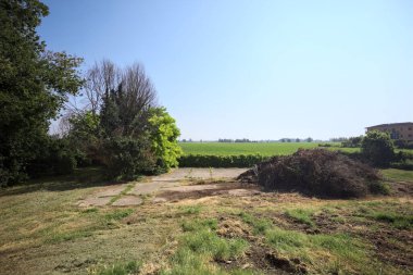 İtalya 'nın kırsal kesimlerinde güneşli bir günde bitkilerden yapılmış bir çitin arkasında ufka kadar uzanan bir mısır tarlası olan ağaçlarla çevrili beton kare.