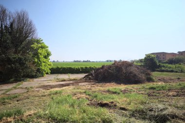 İtalya 'nın kırsal kesimlerinde güneşli bir günde bitkilerden yapılmış bir çitin arkasında ufka kadar uzanan bir mısır tarlası olan ağaçlarla çevrili beton kare.